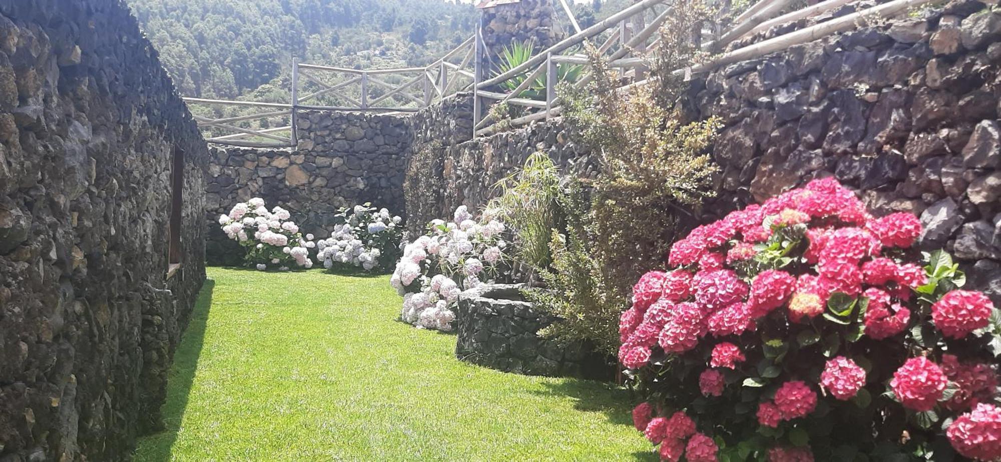 Casas Rurales Los Guinderos อิคอดเดลอสวินอส ภายนอก รูปภาพ