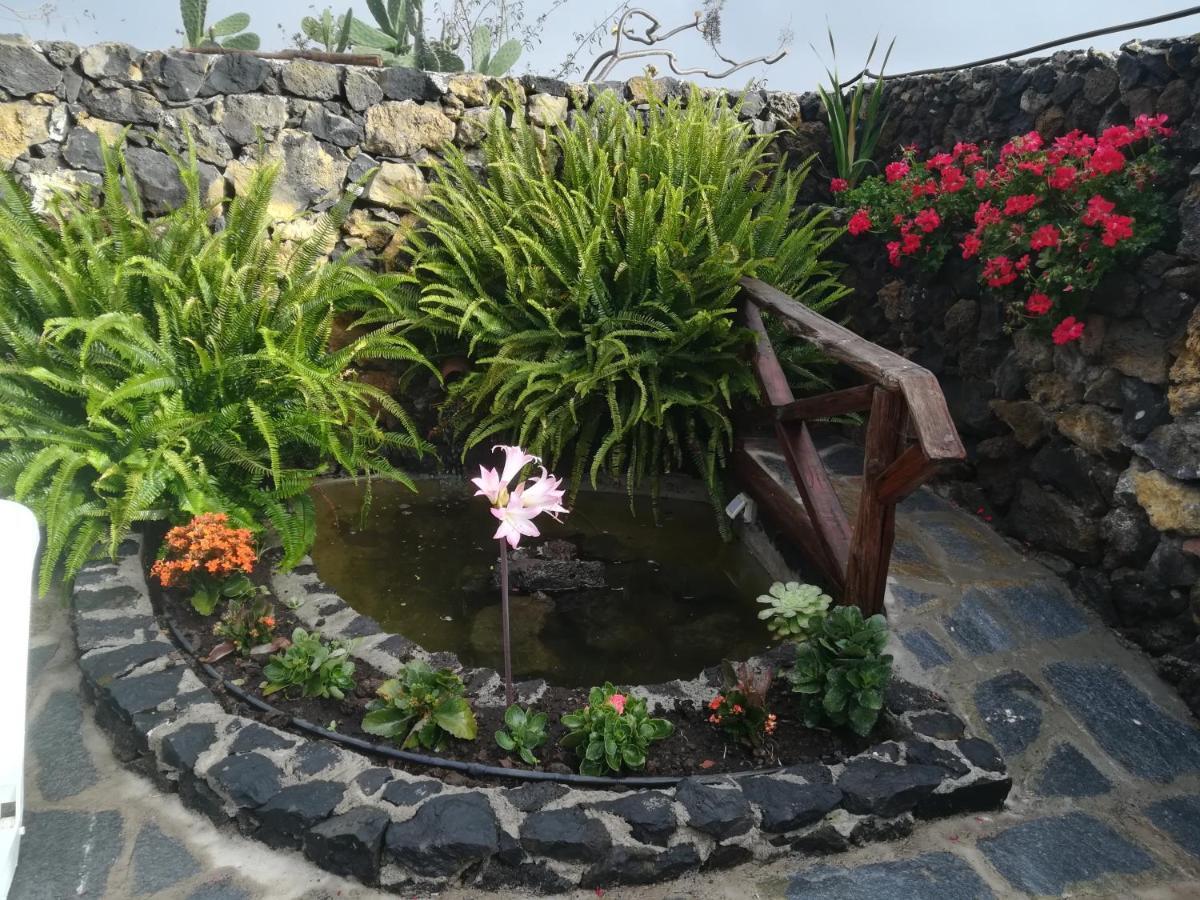 Casas Rurales Los Guinderos อิคอดเดลอสวินอส ภายนอก รูปภาพ